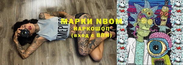 трава Аркадак
