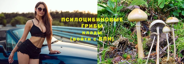 ешки Алзамай