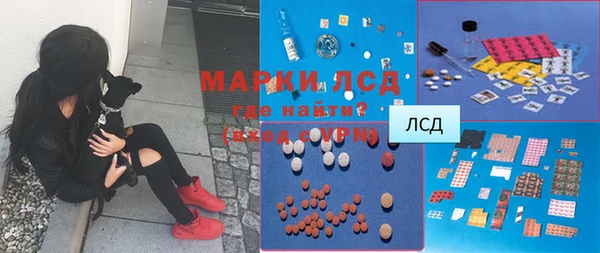 трава Аркадак
