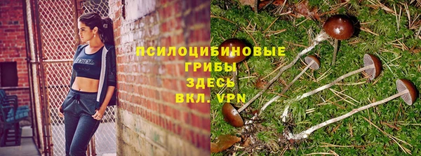 а пвп мука Алексин