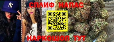 бошки Кинель